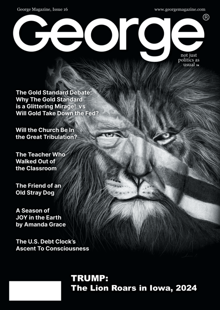GEORGE Magazine, Issue 16  at george magazine