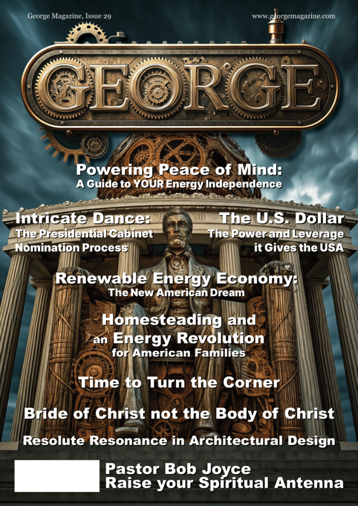 GEORGE Magazine, Issue 29  at george magazine