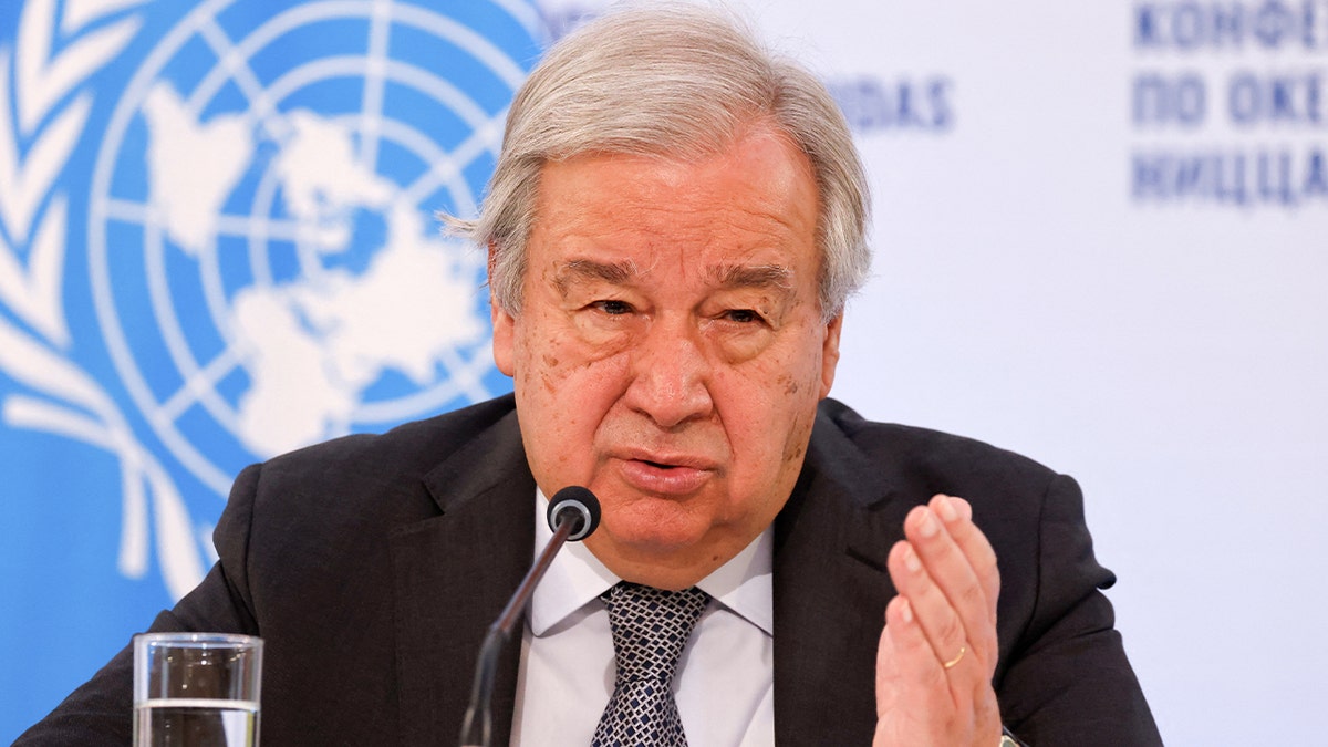 LIZ PEEK: Democrats rage over Trump’s Iran strikes as exiles cheer ayatollah’s fall  at george magazine