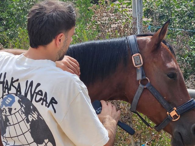 Horses help heal soldiers amid Israel’s mounting PTSD crisis after Oct 7 attacks