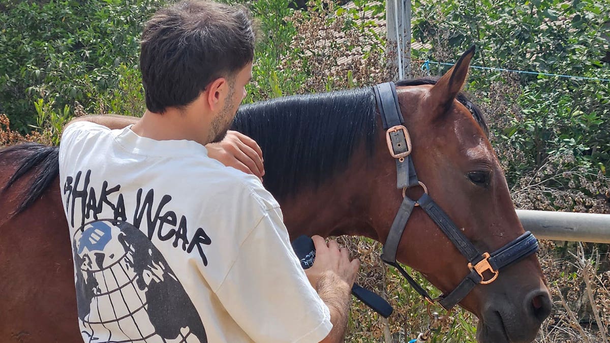 Horses help heal soldiers amid Israel’s mounting PTSD crisis after Oct 7 attacks  at george magazine