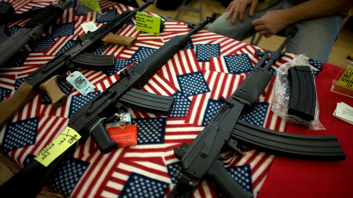 Gun rights expert says Minnesota Dems tried to block her testimony on firearm bills to 'avoid' policy debate  at george magazine