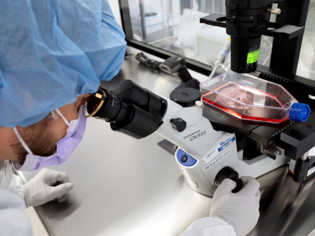 A cure for cancer would deliver $185T economic windfall, report says