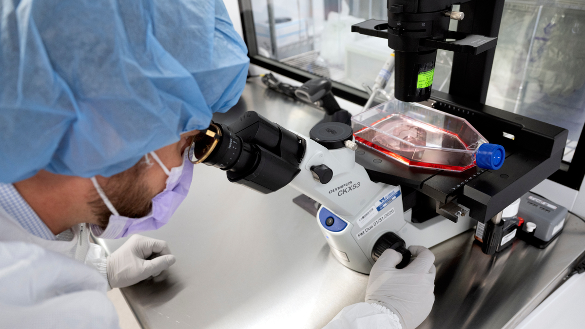 A cure for cancer would deliver $185T economic windfall, report says  at george magazine