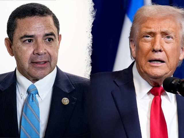 Texas border district Dem Cuellar beats back primary challengers