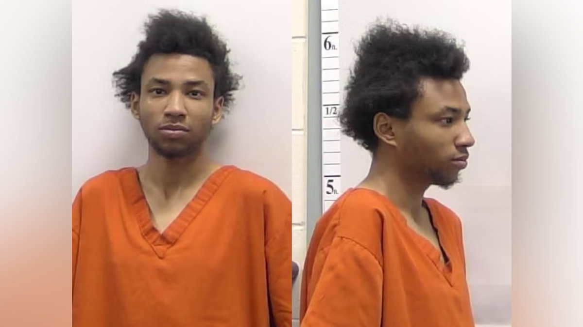 Man accused of luring UGA student with ‘walk home’ ruse before brutal assault: police  at george magazine